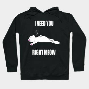 I Need You Right Meow Hoodie